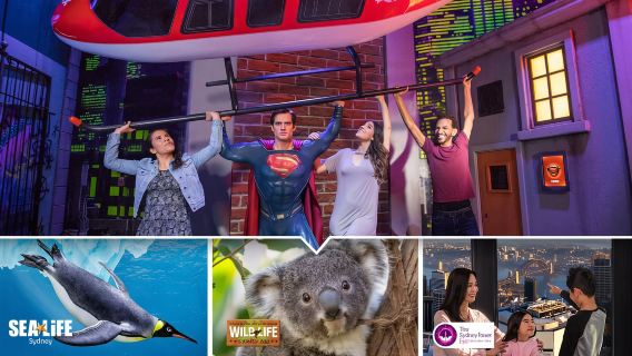 Sydney: Ultimate City Pass for 5 Attractions with Skywalk