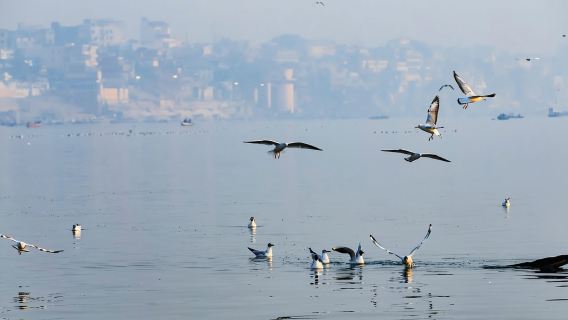 Golden Hour on the Ganges - Sunrise Boat Tour