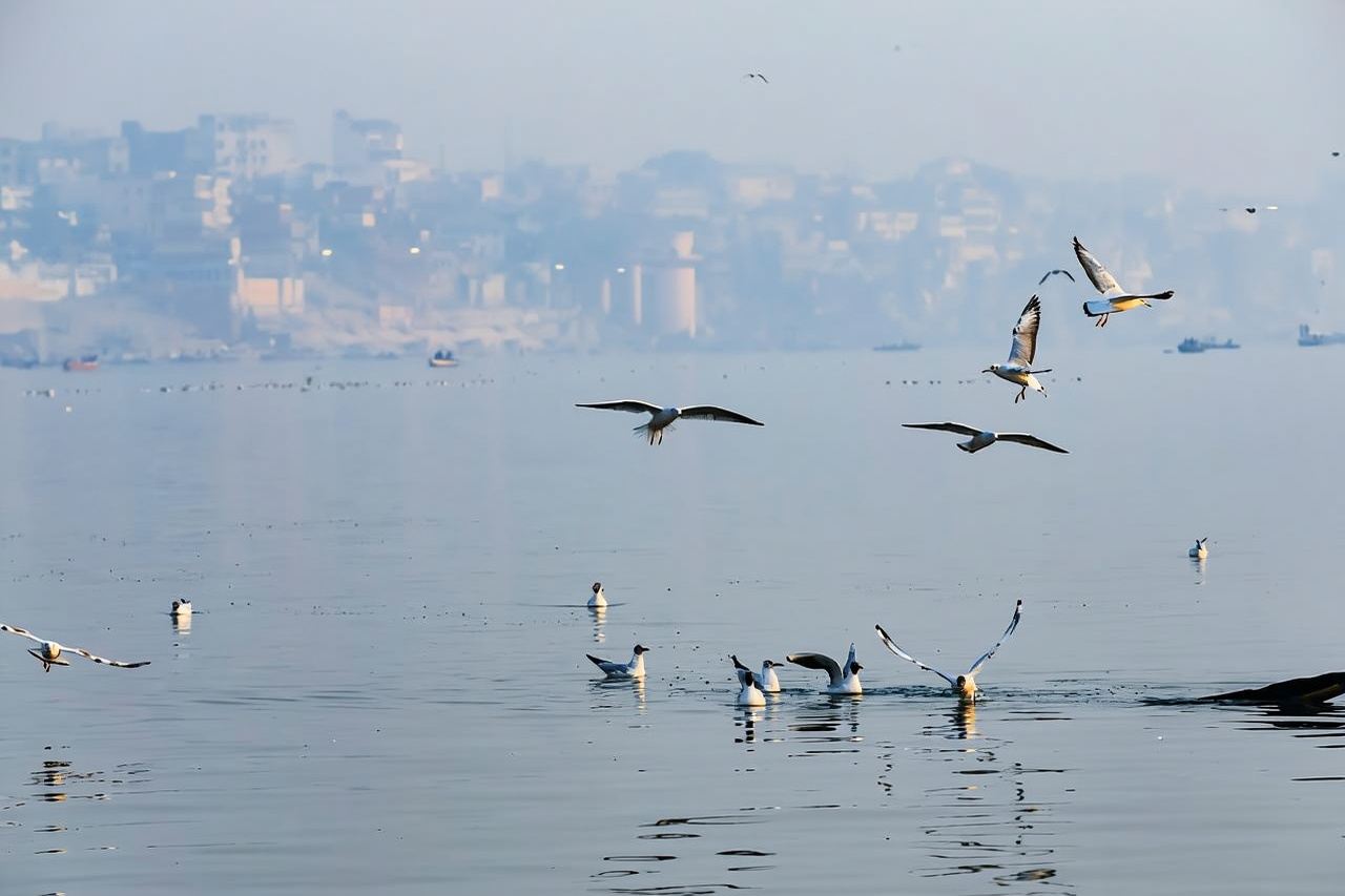 Golden Hour on the Ganges - Sunrise Boat Tour