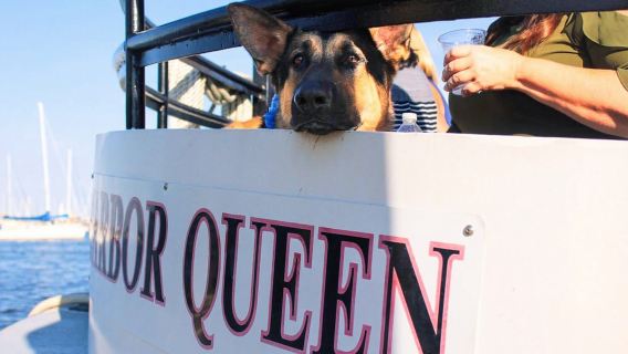 Annapolis: Annapolis Harbor and U.S. Naval Academy Cruise