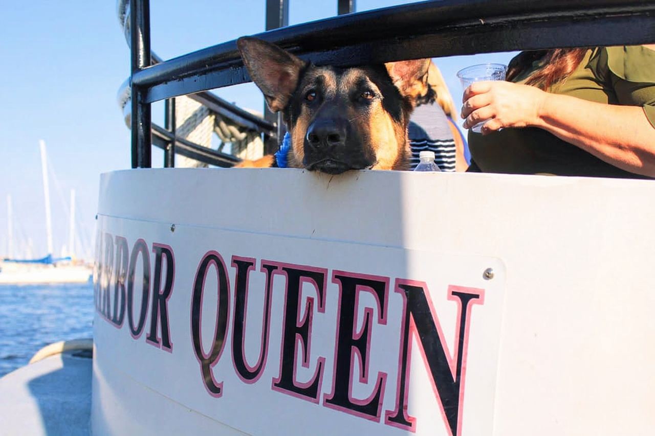 Annapolis: Hafenrundfahrt in Annapolis und US Naval Academy