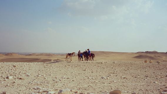 Petra: Horseback Ride to Petra Viewpoint