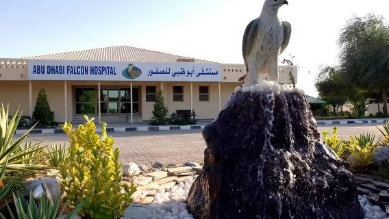 阿布達比獵鷹醫院+華納兄弟主題樂園+兒童公園親子包車一日遊