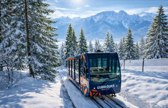 克拉科夫：札科帕內之旅、塔特拉山脈及纜車（酒店接送）