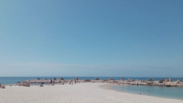 日本福岡+太宰府天滿宮+櫛田神社+天神地下街+大濠公園一日遊