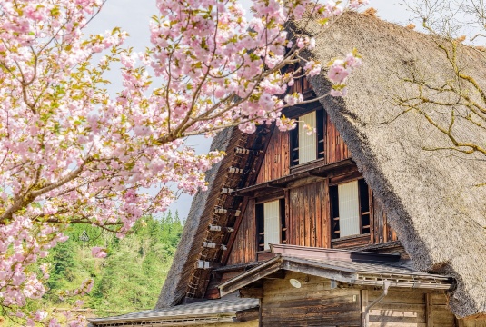 【保證成團】飛驒高山＆白川鄉一日遊（可追加飛驒牛午餐）
