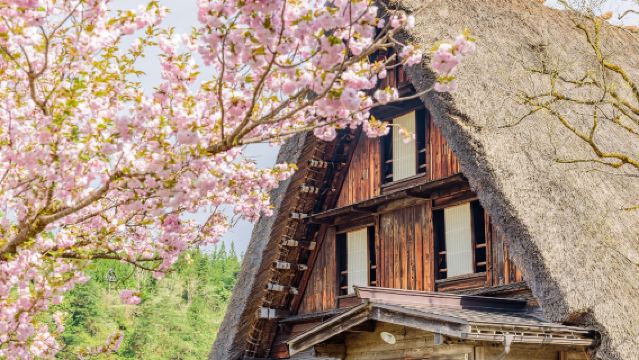 [Grupo garantizado] Excursión de un día a Takayama y las aldeas históricas de Shirakawa-go y Gokayama (con opción de añadir almuerzo de carne de res Hida)