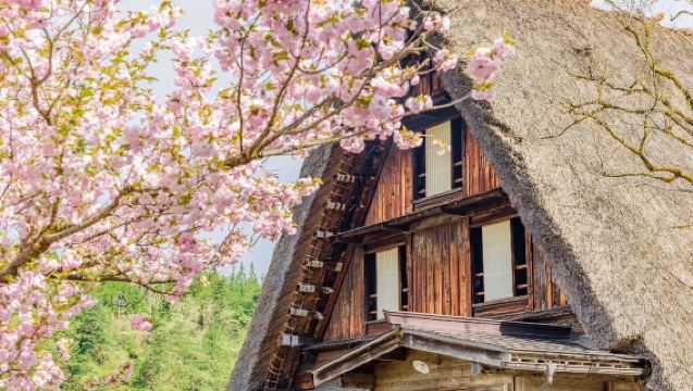 【確約出発】飛騨高山&白川郷ワンデーツアー(飛騨牛ランチ追加可)