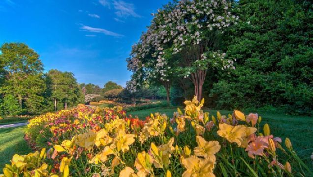 美國亞特蘭大-小城 -地下瀑布-登山小火車【中文包車自由行】