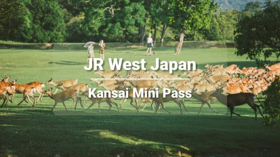 [Official Ticket] JR Kansai Mini Rail Pass 3-Day (Electronic Redemption Voucher)