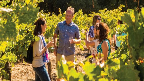 Full Day Wine Country Tour
