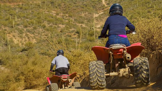 Guided Arizona Desert Tour by ATV - Centipede Tour