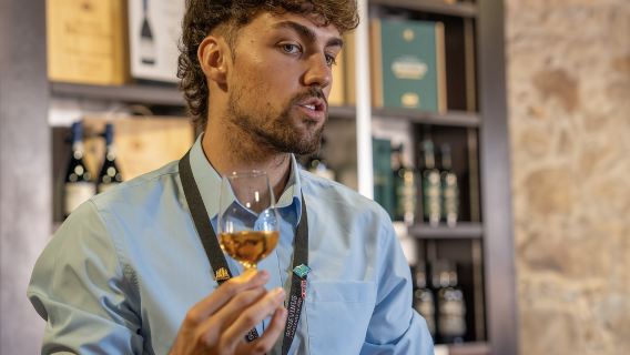 Porto City Tour Half-Day: Guided Visit with Wine Cellar and Tastings