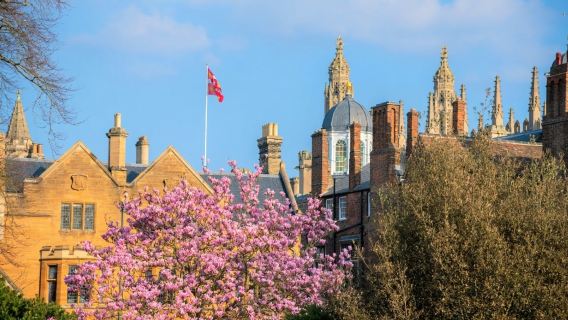 Excursion d'une journée à Oxford et Cambridge (Aller-retour depuis Londres | Guide touristique chinois ou anglais en option)