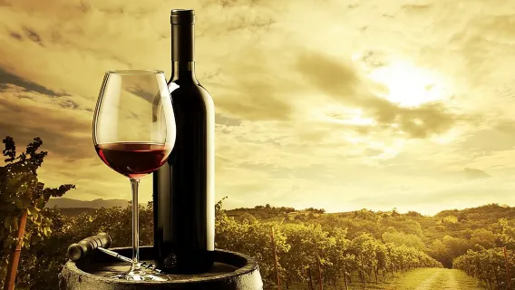 Barossa Valley Cellar Door Small Group Tour