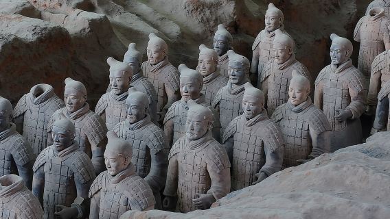 Morning Tour to Terracotta Warriors Museum with Meal
