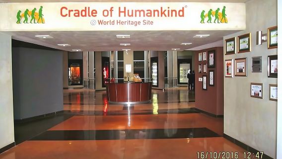 ทัวร์ Cradle of Human Kind & Lion & Rhino Park ทัวร์ส่วนตัวเต็มวัน