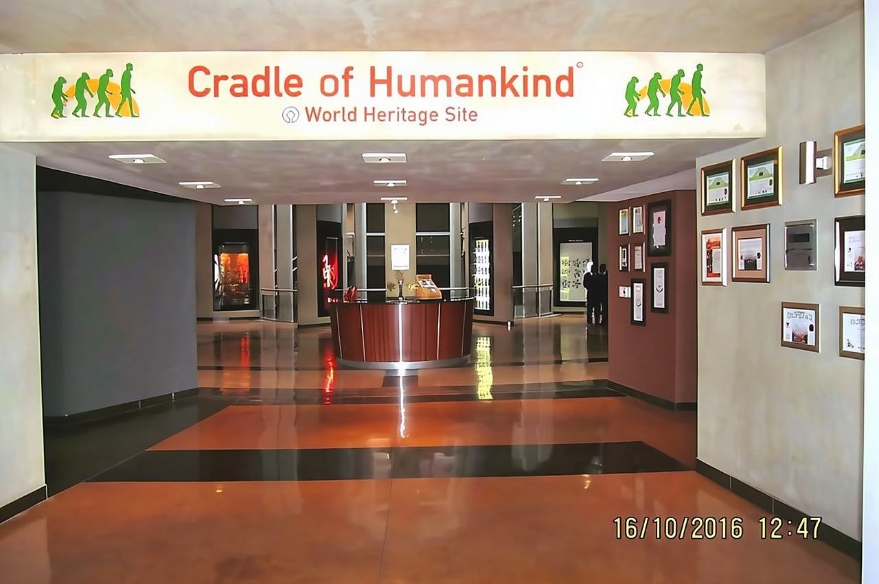 ทัวร์ Cradle of Human Kind & Lion & Rhino Park ทัวร์ส่วนตัวเต็มวัน