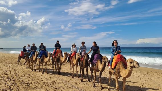 From Tangier: Cap Spartel and Hercules Cave with Camel Ride