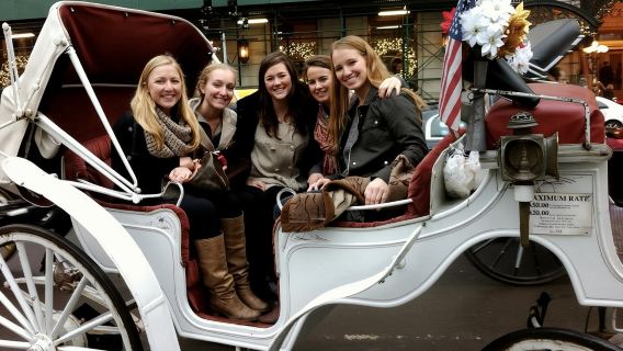 Central Park Private Horse and Carriage Tour