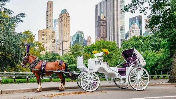 Private NYC Central Park Horse Carriage Ride (Guided) Since 1965