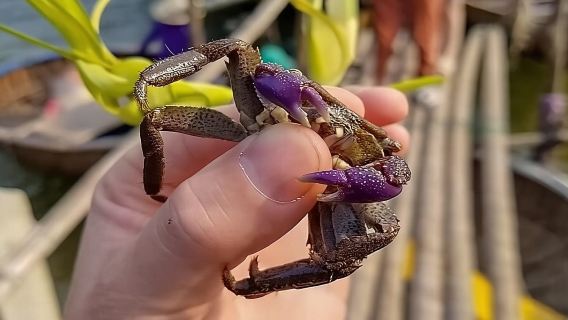 Hoi An Fishing Tour Private-Lantern /Cafe Making Class by Lunch