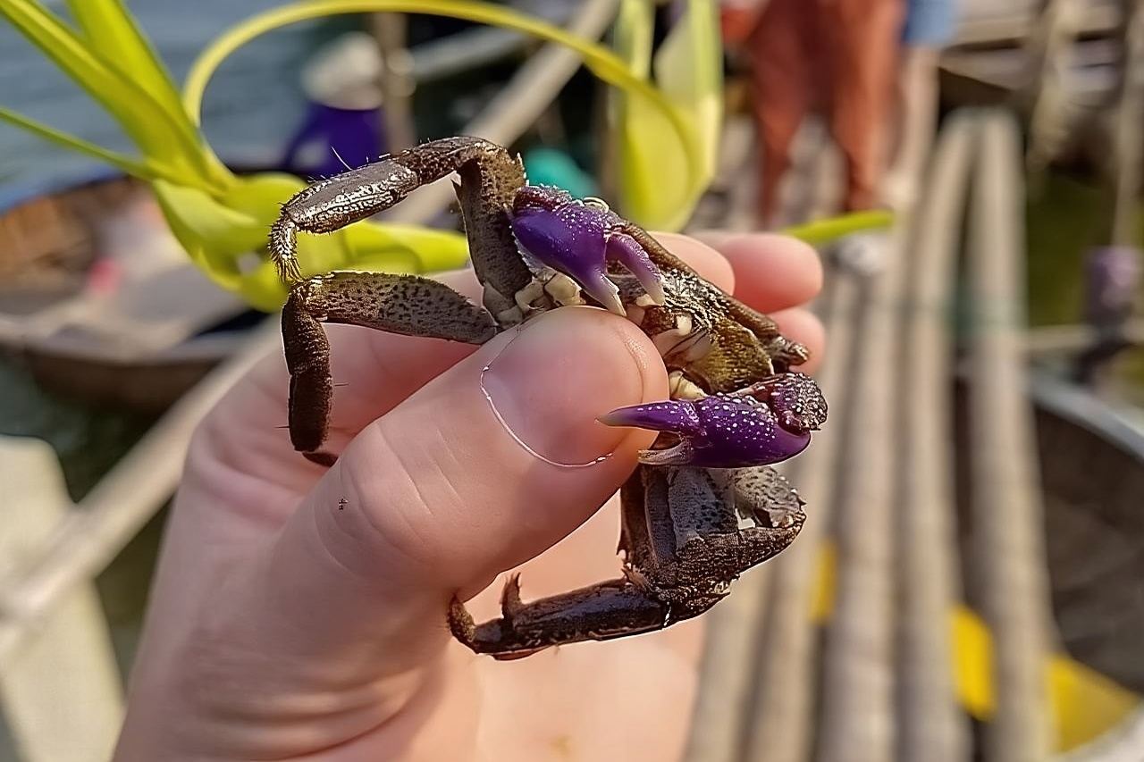 Hoi An Fishing Tour Private-Lantern /Cafe Making Class by Lunch 