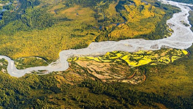 Eintägige Tour in die Goldgräberstadt Talkeetna