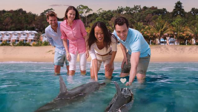 Однодневный тур в Брисбен на остров Мортон (кормление дельфинов/квадроциклы/сноркелинг/сэндбординг)