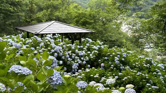 日本東京+伊豆+熱海海濱公園一日遊/行程可調-可定制多日