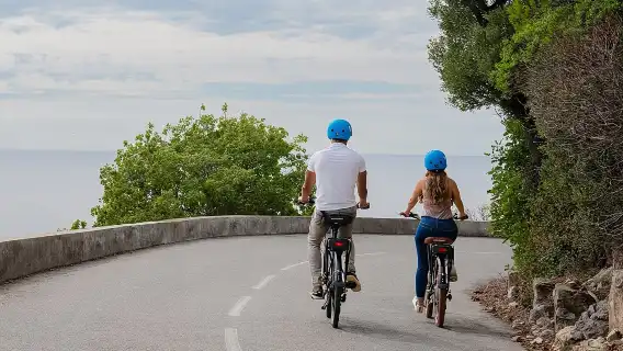 Nice Electric Bike Rental