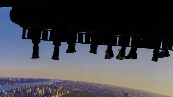 RiseNY - A Soaring Journey Through New York