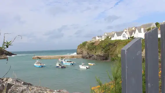 Doc Martin Tour in Port Isaac, Cornwall
