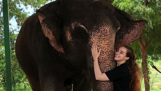 Private Elephant Sanctuary