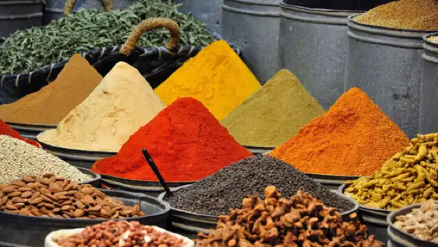 從卡薩布蘭卡出發的菲斯私人導覽遊，含午餐