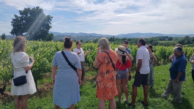 Private half-day tour to Golden Stones Beaujolais with tastings 