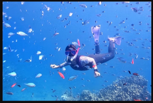 3-Hour Diving and Snorkeling Experience in Ishigaki, Taketomi Island, and Iriomote-jima, Okinawa, Ja