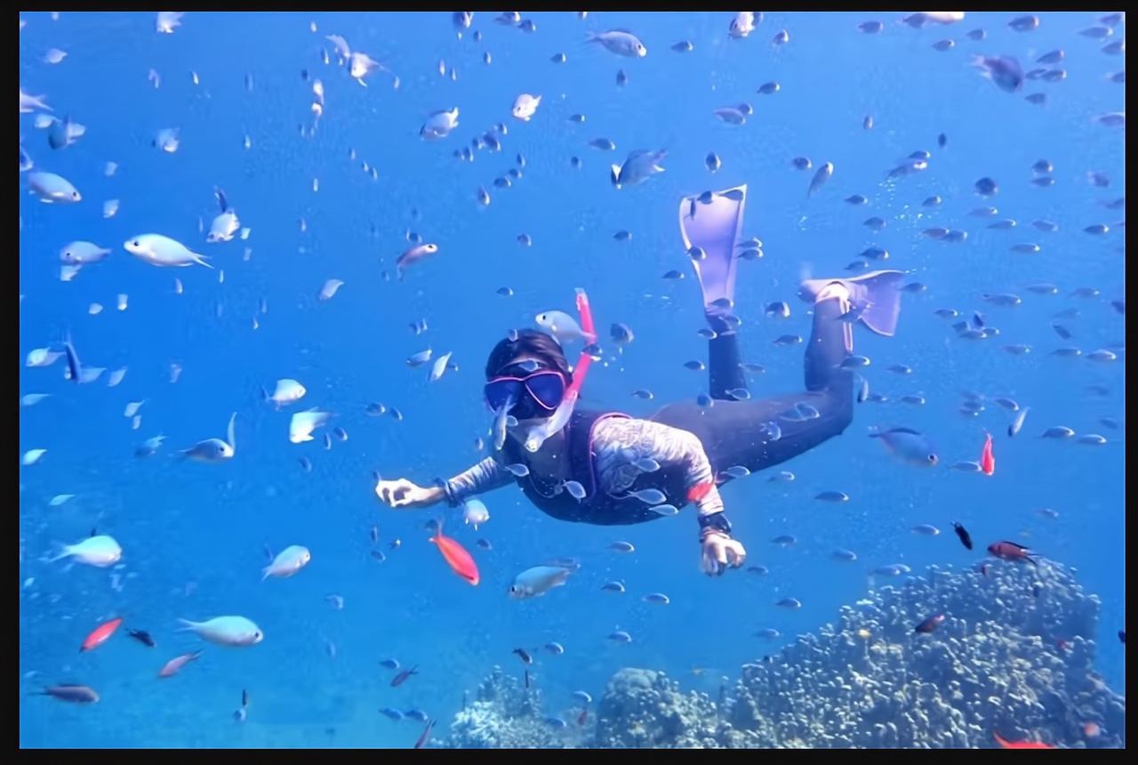 3-Hour Diving and Snorkeling Experience in Ishigaki, Taketomi Island, and Iriomote-jima, Okinawa, Japan [Half-Day Snorkeling - Morning Tour]