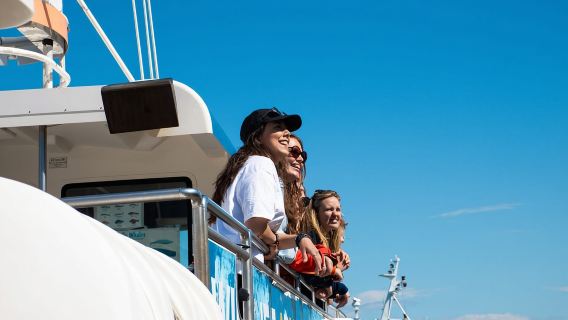 Reikiavik: tour combinado de avistamiento de ballenas y túnel de lava