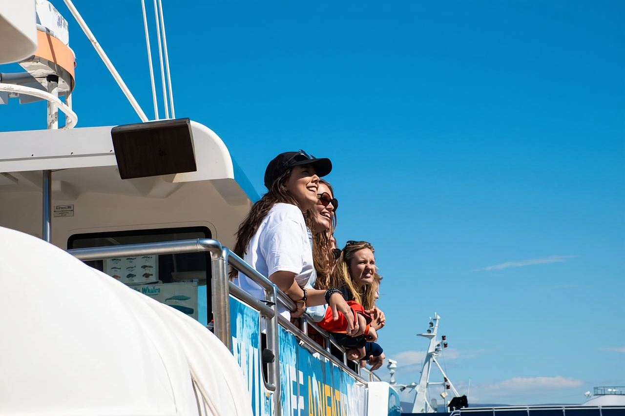 Reykjavik: il miglior tour in barca per l'osservazione delle balene