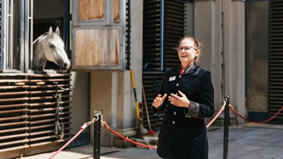 Führung durch die Spanische Hofreitschule in Wien