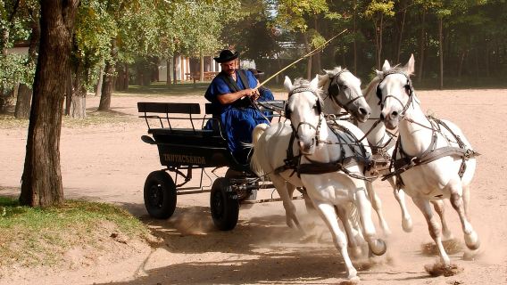 Từ Budapest: Triển lãm ngựa Puszta và chuyến thăm vùng nông thôn