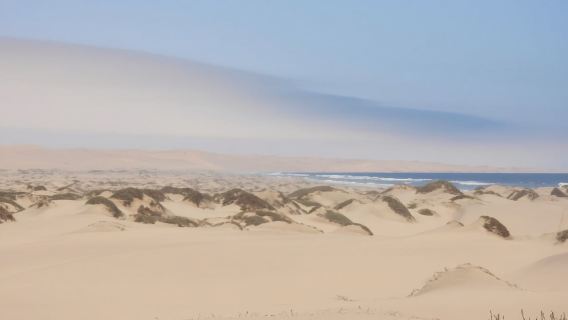 From Walvis Bay: Sandwich Harbour World Heritage Site