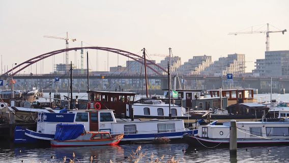 Amsterdam: Fahrradtour (Noord) auf Deutsch oder Englisch