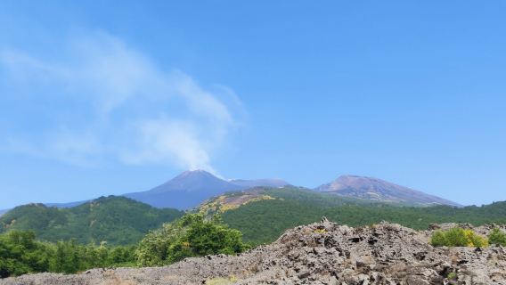 Tour mattutino dell'Etna, grotte e crateri