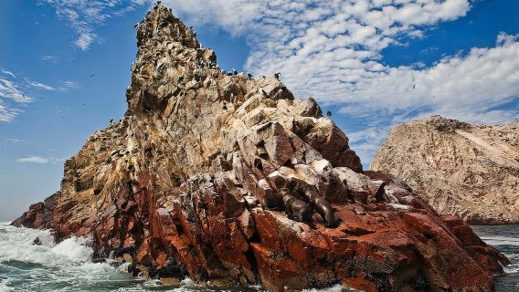 파라카스(Paracas): 발레스타스 제도(Ballestas Islands)의 해양 동물 관찰