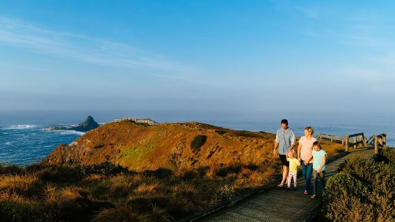 Da Melbourne: parata dei pinguini e tour dei koala