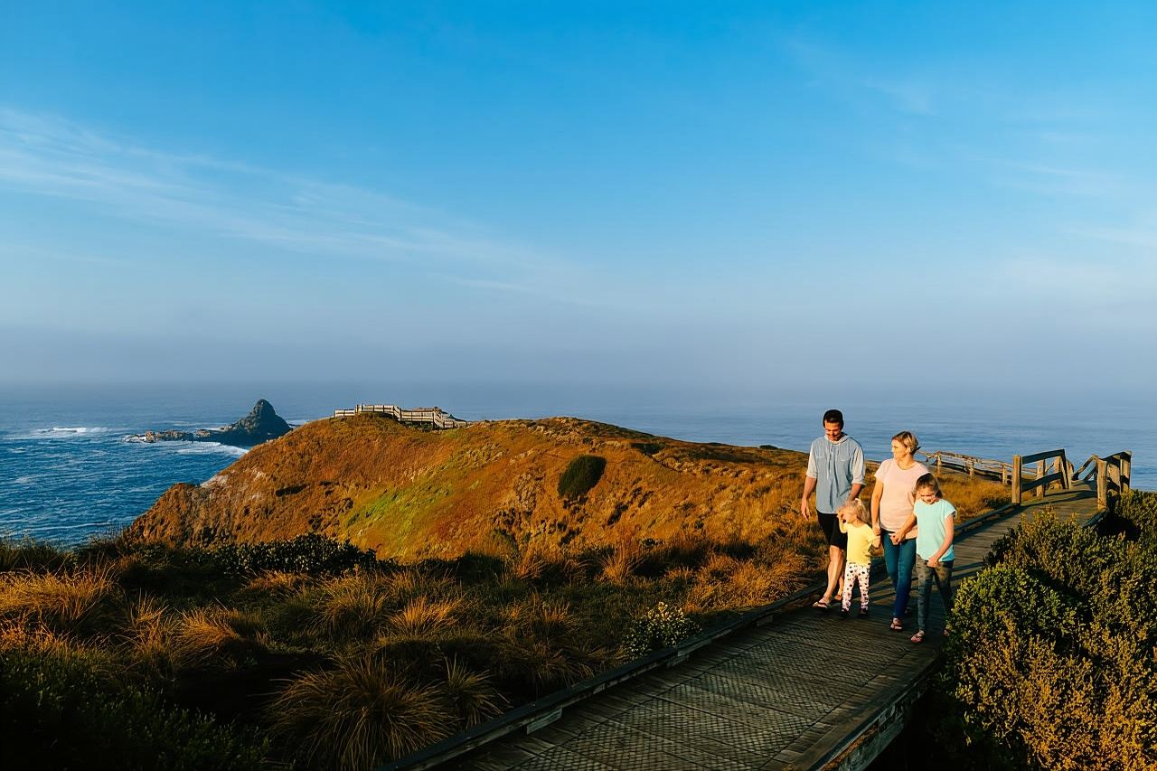 From Melbourne: Phillip Island Penguin Parade & Koalas Tour