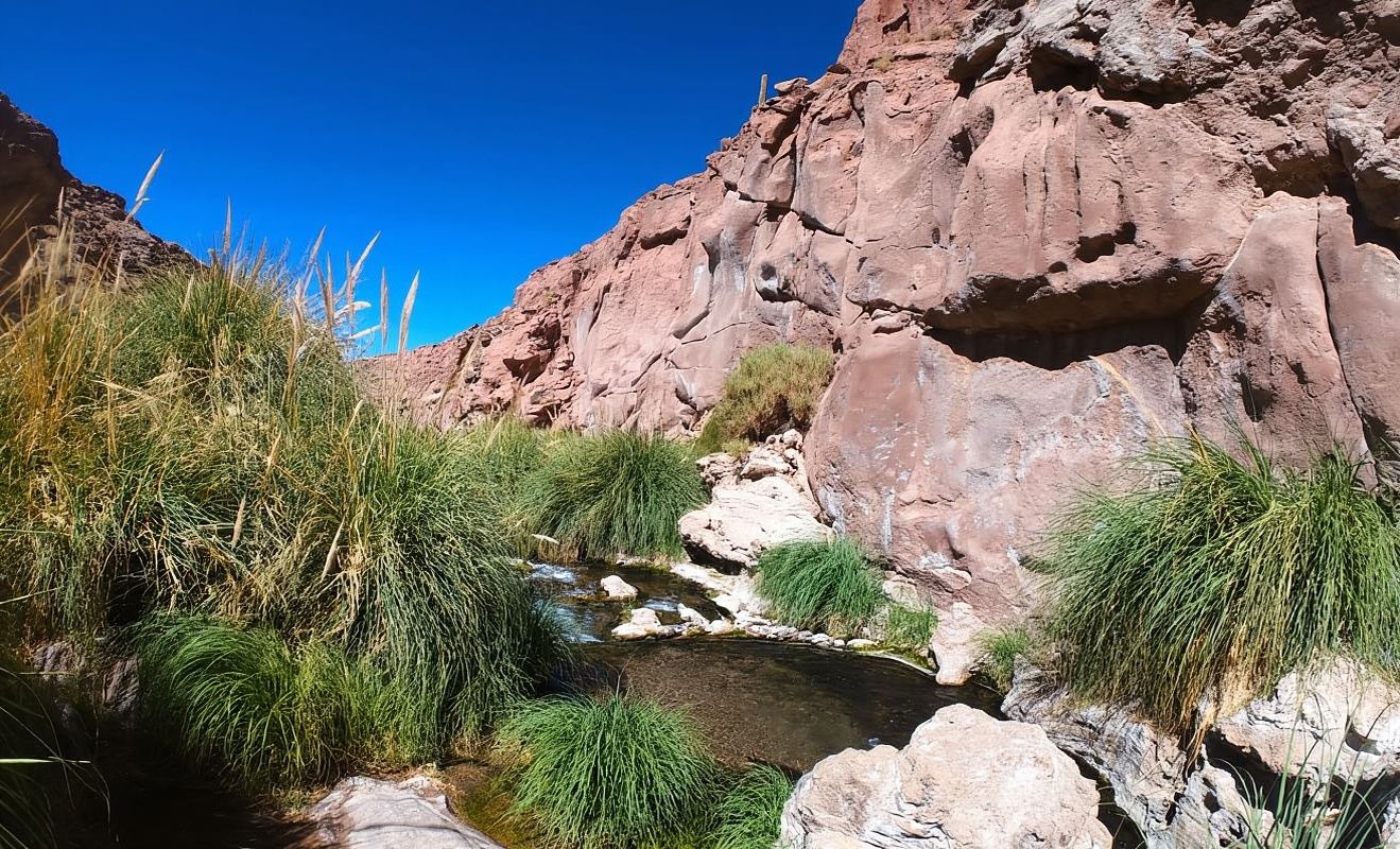 อาตากามา: น้ำพุร้อน Termas de Puritama