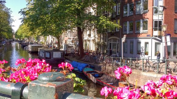 Tour a piedi di Amsterdam e crociera sui canali